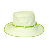 lime trim